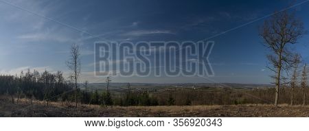 View For Landscape With Cut Down Forests After Bark Beetle