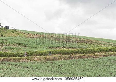 Aquitania, Boyaca / Colombia; April 8, 2018: Rural Andean Landscape, Couple Of People Cycling On A C