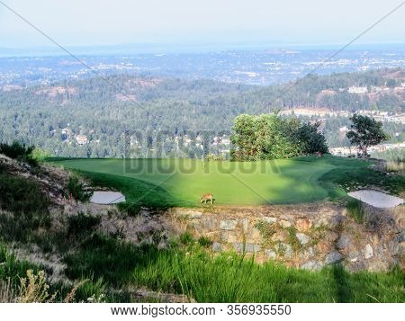A View From The Tee Box Of A Beautiful Island Green Par 3 Surrounded By A Valley And The Ocean In Th