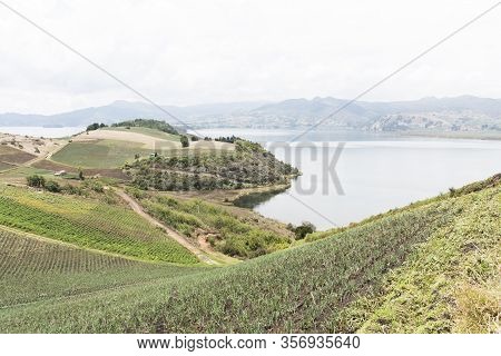 Aquitania, Boyaca / Colombia; April 8, 2018: Rural Andean Landscape, Welsh Onion Fields, Allium Fist