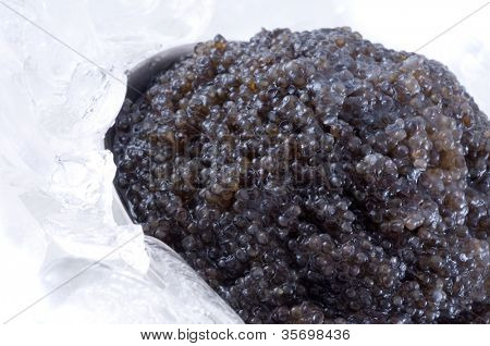 Caviar สีดำในน้ำแข็ง
