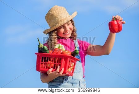 Food Presentation. Harvest Vitamin. Spring Market Garden. Healthy Food For Children. Little Girl Veg