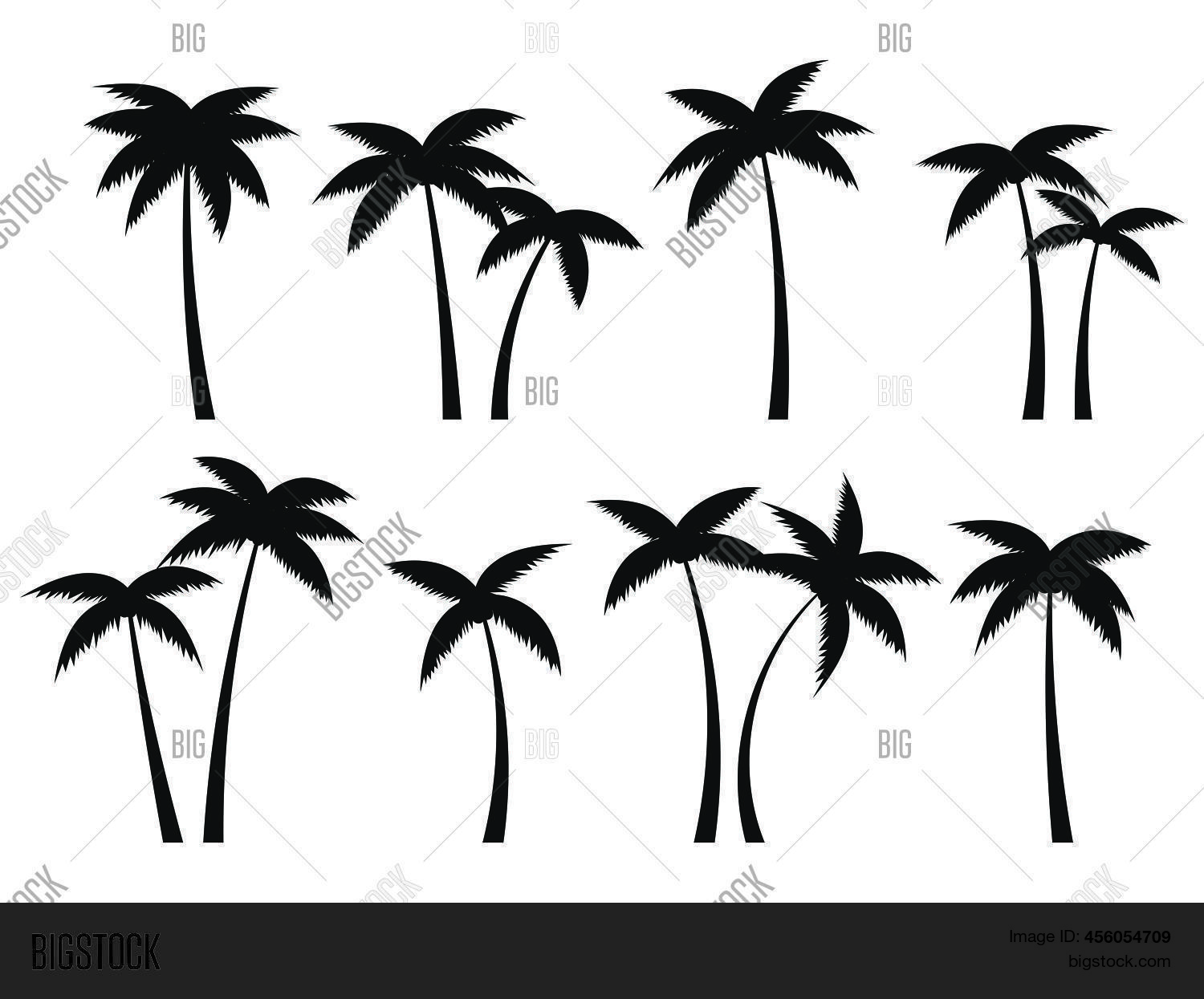 Black Palm Trees Set Vector & Photo (Free Trial) Bigstock