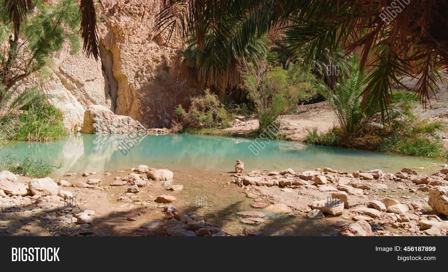 загружайте высококачественные изображения, иллюстрации и векторную графику ...