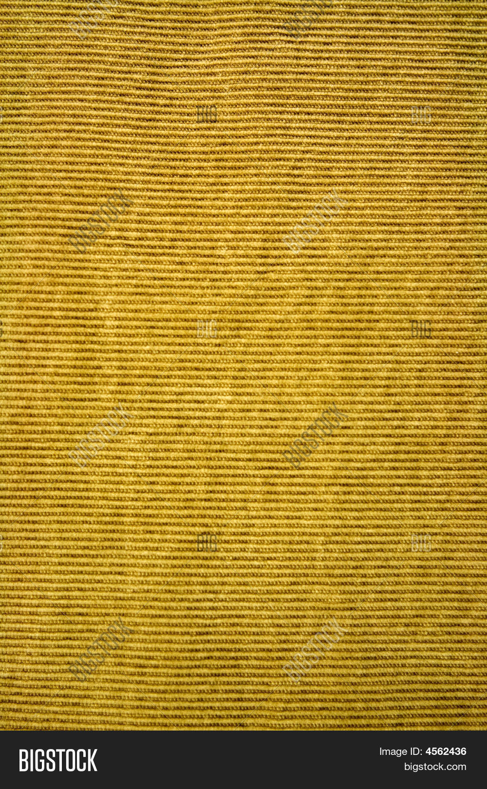 Corduroy Fabric Image & Photo (Free Trial) | Bigstock
