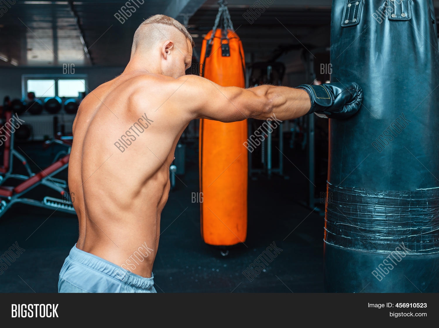 Man Boxer Arms Workout Image & Photo (Free Trial) Bigstock