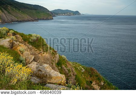Cliffs And Green Pastures,atlantic Ocean Bay Near Bakio, Small Touristic Village, Basque Country, Sp