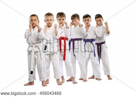 Portrait Of 6 Preschool Age Boys, Beginner Karate Fighters In White Doboks Standing Together Isolate