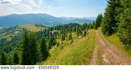 Carpathian Countryside Landscape At High Noon. Beautiful Summer Mountain Scenery On A Sunny Day. For