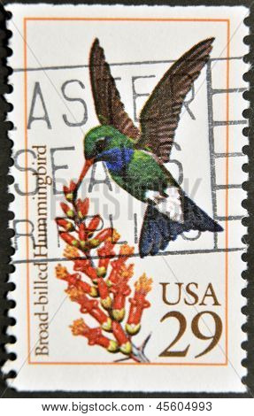 États-Unis d'Amérique - Circa 1992 : Un timbre imprimé en Usa montre Colibri Circé