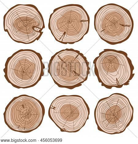 Cut Of Tree Trunk Color Set, Round Cut Of Logs Collection, Wavy Rings Of Life, Concentric Hand Drawn