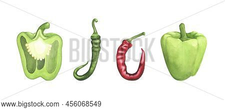 Set Green Bell And Hot Chili Pepper. Watercolor Illustration Fresh Paprika Pod Cooking Isolated On W