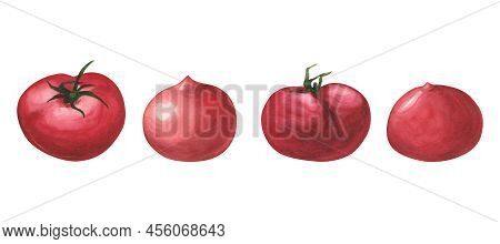 Set Ripe Fresh Tomatoes. Watercolor Illustration Vegetabl For Cooking Isolated On White Background.