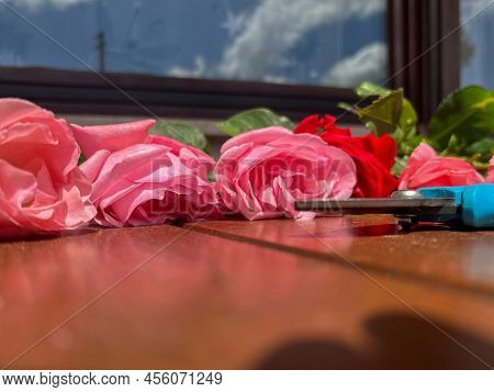 Eight Freshly Cut Pink Roses And One Red Rose Are Lying On The Table