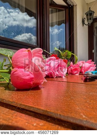 Eight Freshly Cut Pink Roses And One Red Rose Are Lying On The Table