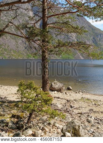 spring time at the village of Flam in norway