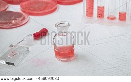 Cultivated Steak, Meat From The Plant Stem Cell, New Food Innovation, No Killing. Laboratory Grown M
