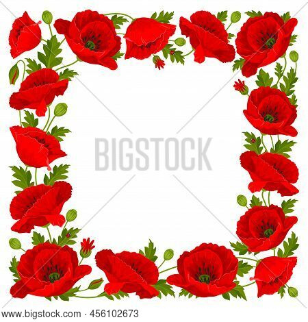 Poppy Frame Images Illustrations Vectors Free Bigstock