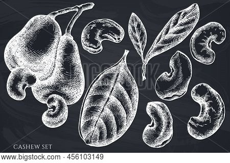 Vector Set Of Hand Drawn Chalk Cashew Stock Illustration