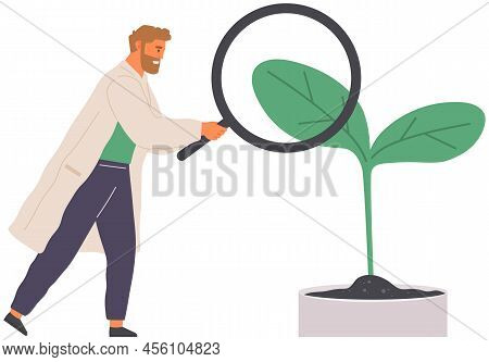 Scientists Make Laboratory Analysis Of Life System And Organisms. Idea Of Education, Botany, Microbi