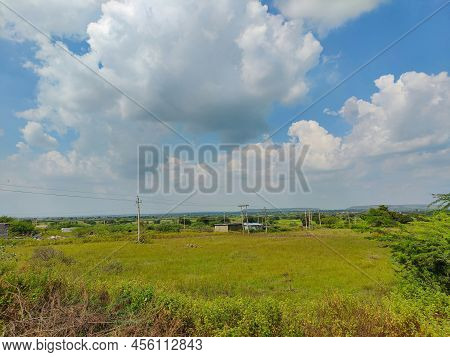 Stock Photo Of Beautiful Farmland Fully Grown Crops And Plants, Surrounded By Green Tree. Electric P