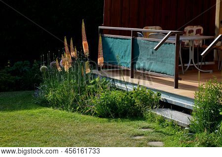 Flowerbed With Tall Perennial Plant Of White Flowers And Undergrowth Of Yellow Perennials And Sage I