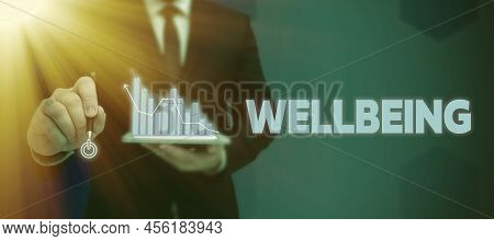 Sign Displaying Wellbeing. Business Approach A Good Or Satisfactory Condition Of Existence Including
