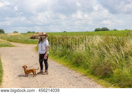 Mature Woman Walking With Her Short-haired Brown Dachshund, Hiking Trail Between Dutch Farmland Mead