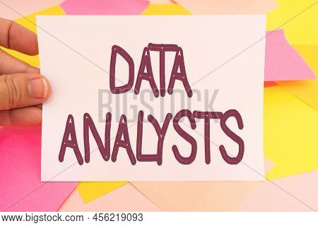 Text Showing Inspiration Data Analysts. Business Showcase Programmer Design And Create Report Identi