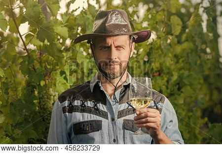 Enologist With Wineglass. Sommelier. Farmer Drink Wine. Cheers. Vinedresser Drinking.