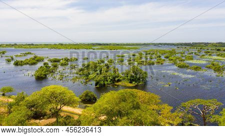 Aerial View Of Lake With Birds In The Kumana National Park. Sri Lanka.