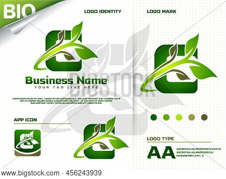 Initial Letter C With Green Leaf Logo Design Vector