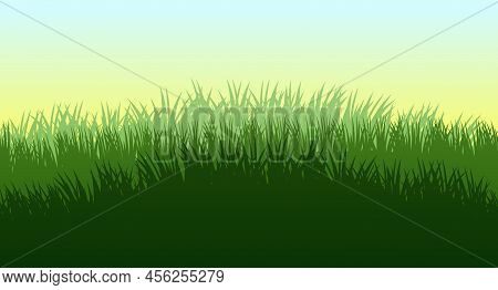 Grass. Nature Rural Landscape. The Pasture Is Overgrown. Overgrown Dense Lawn. Horizontal Seamless I
