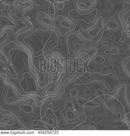Grey Contours Vector Topography. Geographic Mountain Topography Vector Illustration. Topographic Pat
