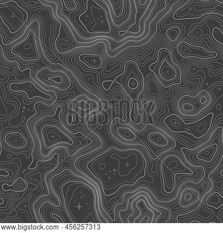 Grey Contours Vector Topography. Geographic Mountain Topography Vector Illustration. Topographic Pat