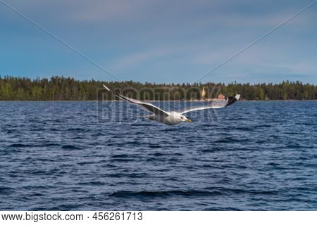 Russia. Leningrad Region. May 29, 2022. Lake Seagull, Filmed In Flight.