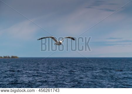 Russia. Leningrad Region. May 29, 2022. Lake Seagull Over Lake Ladoga.