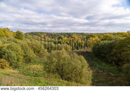 Autumn Forest Day. Wid From A Height. Beautiful Nature Of Belarus
