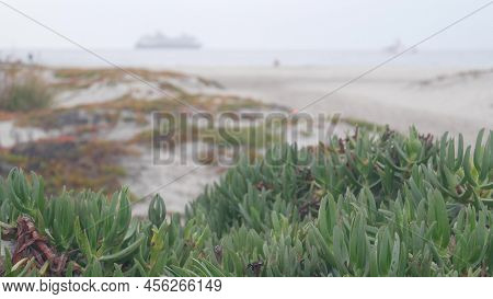 Sand Dunes Of Misty Coronado Beach, Ocean Waves In Fog, California Coast, Usa. Cloudy Overcast Weath