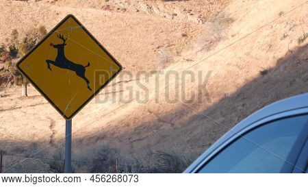 Deer Crossing Warning Yellow Sign, California Usa. Wild Animals Xing Traffic Signage For Safety Driv