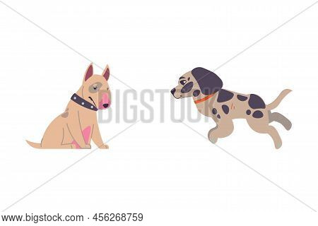 Adopted Pets. People Taking Animals From Vet Clinics And Dog Shelter. Homeless Puppies. Bullterrier 