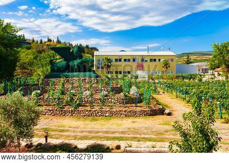 Tsinandali, Georgia - September 03, 2021: Shumi Winery Building And Vineyard In Tsinandali Village, 