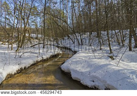 Stream In The Spring Forest. Bitsevsky Forest Park, Moscow, Russia. Upper Reaches Of The Chertanovka