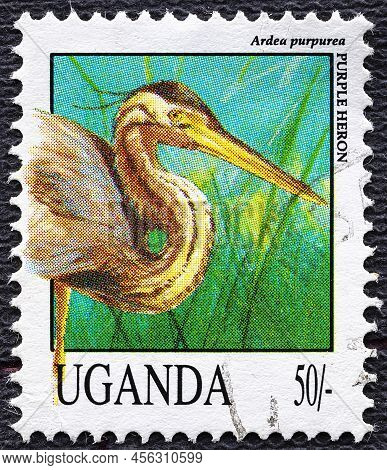 Uganda - Circa 1992: Post Stamp 50 Ugandan Shillings Printed By Republic Of Uganda, Shows Purple Her