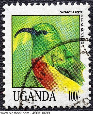 Uganda - Circa 1992: Post Stamp 50 Ugandan Shillings Printed By Republic Of Uganda, Shows Regal Sunb