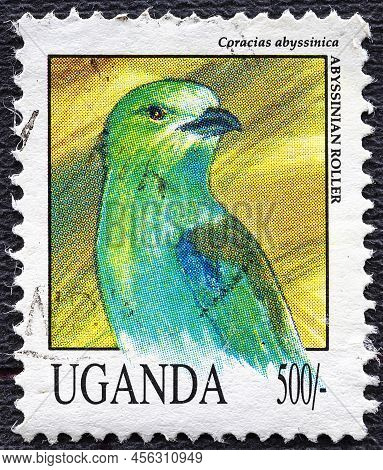 Uganda - Circa 1992: Post Stamp 50 Ugandan Shillings Printed By Republic Of Uganda, Shows Abyssinian