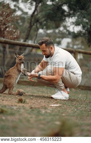 Man In The Reserve Is Playing With A Kangaroo