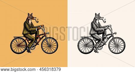 A Fox With A Pipe In A Suit Rides A Bicycle And Pedals. Fashion Animal Character. Hand Drawn Woodcut