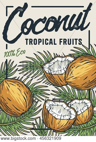Coconut Poster. Summer Exoic Fruit And Nuts With Palm Leaves Design