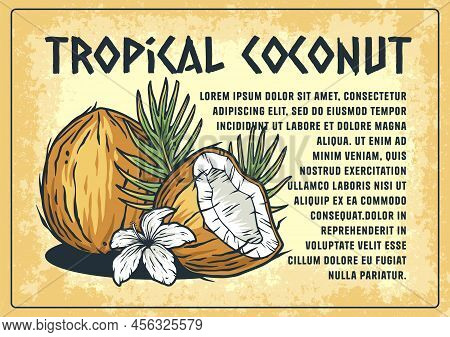 Coconut Poster. Summer Exoic Fruit And Nuts With Palm Leaves Design